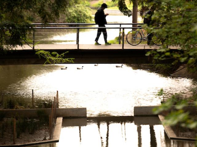 Student crossing over Spafford Pond