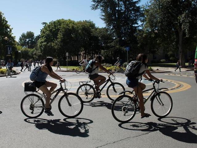 Bikes in Roundabout